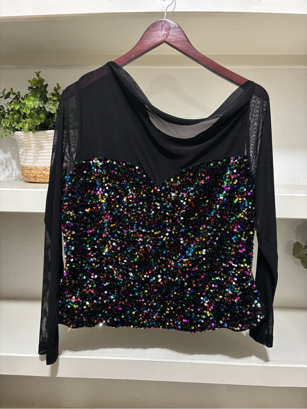 Emily Rose Black Mesh Long Sleeve Top with Multicolor Sequins